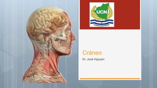 Cráneo
Dr. José Irigoyen
 