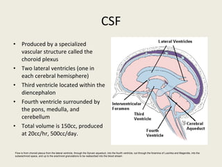 CSF Produced by a specialized vascular structure called the choroid plexus Two lateral ventricles (one in each cerebral hemisphere) Third ventricle located within the diencephalon Fourth ventricle surrounded by the pons, medulla, and cerebellum Total volume is 150cc, produced at 20cc/hr, 500cc/day. Flow is from choroid plexus from the lateral ventricle, through the Sylvain aqueduct, into the fourth ventricle, out through the foramina of Luschka and Magendie, into the subarachnoid space, and up to the arachnoid granulations to be reabsorbed into the blood stream 