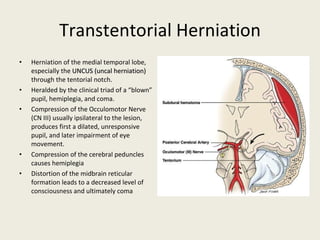 Transtentorial Herniation Herniation of the medial temporal lobe, especially the  UNCUS (uncal herniation)  through the tentorial notch. Heralded by the clinical triad of a “blown” pupil, hemiplegia, and coma. Compression of the Occulomotor Nerve (CN III) usually ipsilateral to the lesion, produces first a dilated, unresponsive pupil, and later impairment of eye movement.  Compression of the cerebral peduncles causes hemiplegia Distortion of the midbrain reticular formation leads to a decreased level of consciousness and ultimately coma 