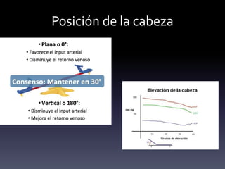 Posición de la cabeza
 
