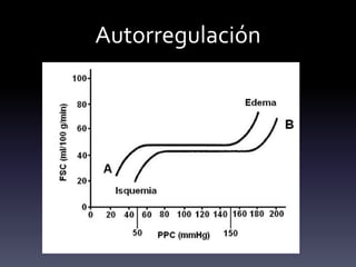 Autorregulación
 