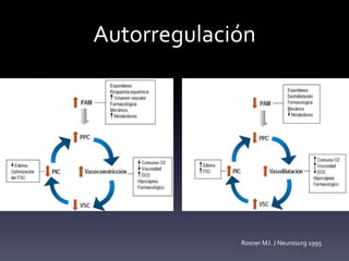 Autorregulación
Rosner MJ. J Neurosurg 1995
 