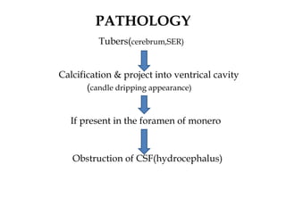 PATHOLOGY
Tubers(cerebrum,SER)
Calcification & project into ventrical cavity
(candle dripping appearance)
If present in the foramen of monero
Obstruction of CSF(hydrocephalus)
 