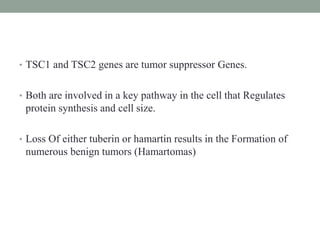 • TSC1 and TSC2 genes are tumor suppressor Genes.
• Both are involved in a key pathway in the cell that Regulates
protein synthesis and cell size.
• Loss Of either tuberin or hamartin results in the Formation of
numerous benign tumors (Hamartomas)
 