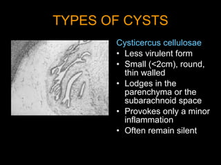 TYPES OF CYSTS Cysticercus cellulosae Less virulent form Small (<2cm), round, thin walled Lodges in the parenchyma or the subarachnoid space Provokes only a minor inflammation Often remain silent 