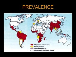 PREVALENCE 