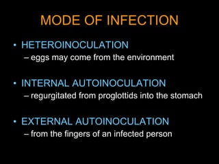 MODE OF INFECTION HETEROINOCULATION eggs may come from the environment  INTERNAL AUTOINOCULATION regurgitated from proglottids into the stomach  EXTERNAL AUTOINOCULATION from the fingers of an infected person  