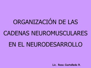 ORGANIZACIÓN DE LAS CADENAS NEUROMUSCULARES EN EL NEURODESARROLLO Lic. Rosa Castañeda R. 