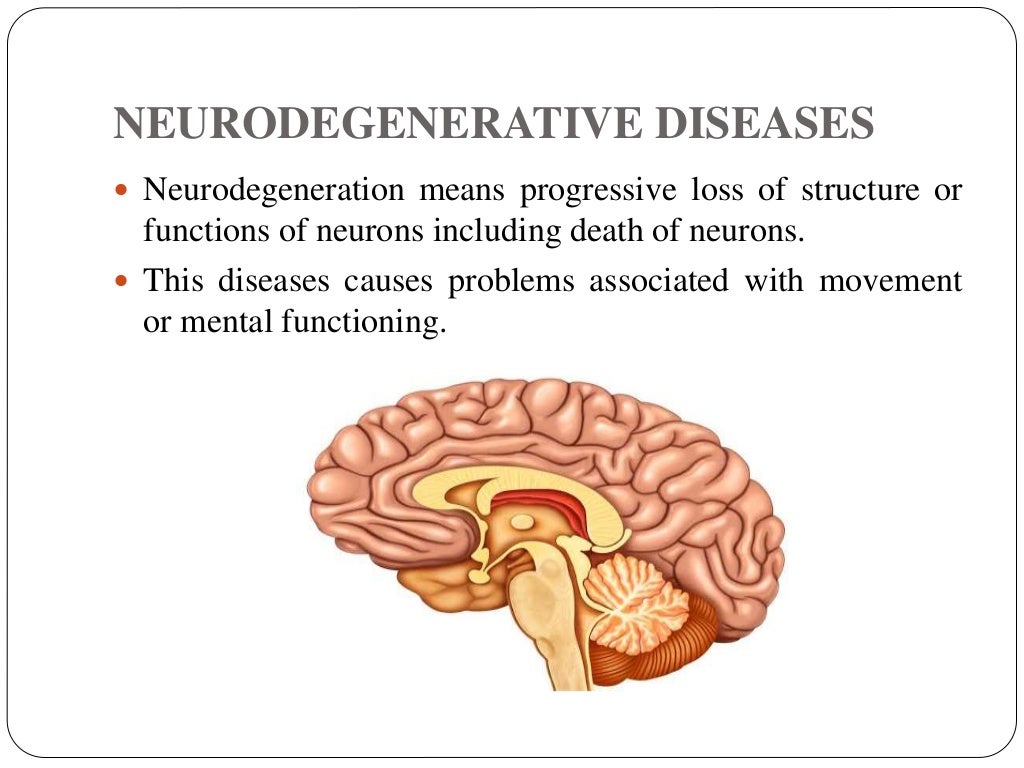 Neurodegenerative diseases ppt