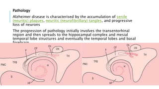 Pathology
Alzheimer disease is characterised by the accumulation of senile
(neuritic) plaques, neuritic (neurofibrillary) tangles, and progressive
loss of neurons
The progression of pathology initially involves the transentorhinal
region and then spreads to the hippocampal complex and mesial
temporal lobe structures and eventually the temporal lobes and basal
forebrain.
 