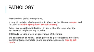 PATHOLOGY
mediated via (infectious) prions,
a type of protein, which manifest in sheep as the disease scrapie, and
in cows as bovine spongiform encephalopathy.
Prions are considered infectious in sense that they can alter the
structure of neighbouring proteins.
CJD leads to spongiform degeneration of the brain,
the conversion of normal prion protein to proteinaceous infectious
particles that accumulate in and around neurons and lead to cell
death..
 