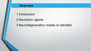 NEURODEGENERATIVE MODELS OF ZEBRAFISH (RAMAN).pptx
