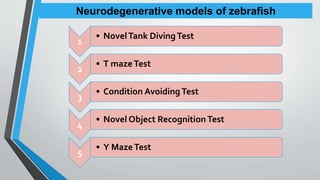 NEURODEGENERATIVE MODELS OF ZEBRAFISH (RAMAN).pptx