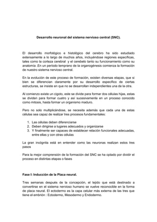 Desarrollo neuronal del sistema nervioso central (SNC).



El desarrollo morfológico e histológico del cerebro ha sido estudiado
extensamente a lo largo de muchos años, incluyéndose regiones específicas,
tales como la corteza cerebral y el cerebelo tanto su funcionamiento como su
anatomía .En un período temprano de la organogénesis comienza la formación
de nuestro sistema nervioso central.

En la evolución de este proceso de formación, existen diversas etapas, que si
bien se diferencian claramente por su desarrollo específico de ciertas
estructuras, se insiste en que no se desarrollan independientes una de la otra.

Al comienzo existe un cigoto, este se divide para formar dos células hijas, estas
se dividen para formar cuatro y así sucesivamente en un proceso conocido
como mitosis, hasta formar un organismo maduro.

Pero no solo multiplicándose, se necesita además que cada una de estas
células sea capaz de realizar tres procesos fundamentales:

   1. Las células deben diferenciarse
   2. Deben dirigirse a lugares adecuados y organizarse
   3. Y finalmente ser capaces de establecer relación funcionales adecuadas,
      entre ellas y con otras células

La gran incógnita está en entender como las neuronas realizan estos tres
pasos

Para la mejor comprensión de la formación del SNC se ha optado por dividir el
proceso en distintas etapas o fases



Fase I: Inducción de la Placa neural.

Tres semanas después de la concepción, el tejido que está destinado a
convertirse en el sistema nervioso humano se vuelve reconocible en la forma
de placa neural. El ectodermo es la capa celular más externa de las tres que
tiene el embrión : Ectodermo, Mesodermo y Endodermo.
 