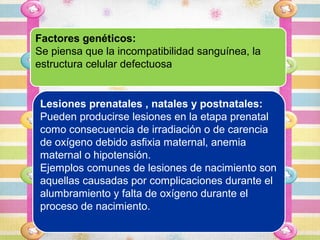 Factores genéticos:
Se piensa que la incompatibilidad sanguínea, la
estructura celular defectuosa


 Lesiones prenatales , natales y postnatales:
 Pueden producirse lesiones en la etapa prenatal
 como consecuencia de irradiación o de carencia
 de oxígeno debido asfixia maternal, anemia
 maternal o hipotensión.
 Ejemplos comunes de lesiones de nacimiento son
 aquellas causadas por complicaciones durante el
 alumbramiento y falta de oxígeno durante el
 proceso de nacimiento.
 