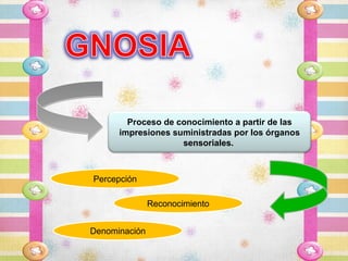 Proceso de conocimiento a partir de las
      impresiones suministradas por los órganos
                    sensoriales.



Percepción

               Reconocimiento


Denominación
 