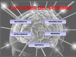 FUNCIONES DEL CEREBRO

 MOVIMIENTO                SENSIBILIDAD




 INTELIGENCIA               MEMORIA




                INSTINTO
 