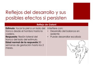 Reflejos del desarrollo y sus
posibles efectos si persisten
                            Reflejo de Galant
Estimulo: tocar la piel a un lado del Interfiere con:
tronco desde el hombro hasta la       • Desarrollo del balance en
cadera.                                  sedente
Respuesta: flexión lateral del        • Puede desarrollar escoliosis
tronco del lado del estimulo.
Edad normal de la respuesta:30
semanas de gestación hasta los 2
meses.
 