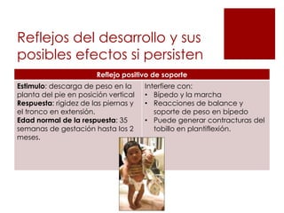 Reflejos del desarrollo y sus
posibles efectos si persisten
                       Reflejo positivo de soporte
Estimulo: descarga de peso en la      Interfiere con:
planta del pie en posición vertical   • Bípedo y la marcha
Respuesta: rigidez de las piernas y   • Reacciones de balance y
el tronco en extensión.                  soporte de peso en bípedo
Edad normal de la respuesta: 35       • Puede generar contracturas del
semanas de gestación hasta los 2         tobillo en plantiflexión.
meses.
 