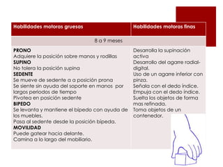 Desarrollo de habilidades
Habilidades motoras gruesas                    Habilidades motoras finas


motoras gruesas 9y finas
               8 a meses
                         Desarrolla la supinación
PRONO
Adquiere la posición sobre manos y rodillas    activa
SUPINO                                         Desarrollo del agarre radial-
No tolera la posición supina                   digital.
SEDENTE                                        Uso de un agarre inferior con
Se mueve de sedente a a posición prona         pinza.
Se siente sin ayuda del soporte en manos por   Señala con el dedo índice.
largos periodos de tiempo                      Empuja con el dedo índice.
Pivotea en posición sedente                    Suelta los objetos de forma
BIPEDO                                         mas refinada.
Se levanta y mantiene el bípedo con ayuda de   Toma objetos de un
los muebles.                                   contenedor.
Pasa al sedente desde la posición bípeda.
MOVILIDAD
Puede gatear hacia delante.
Camina a lo largo del mobiliario.
 