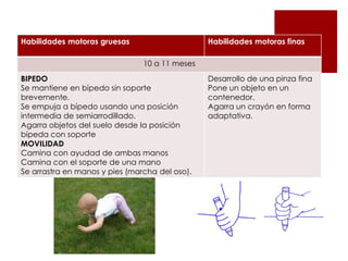 Desarrollo de habilidades
Habilidades motoras gruesas                     Habilidades motoras finas


motoras gruesas 11 meses Desarrollo de una pinza fina
               10 a
                    y finas
BIPEDO
Se mantiene en bípedo sin soporte               Pone un objeto en un
brevemente.                                     contenedor.
Se empuja a bípedo usando una posición          Agarra un crayón en forma
intermedia de semiarrodillado.                  adaptativa.
Agarra objetos del suelo desde la posición
bípeda con soporte
MOVILIDAD
Camina con ayudad de ambas manos
Camina con el soporte de una mano
Se arrastra en manos y pies (marcha del oso).
 