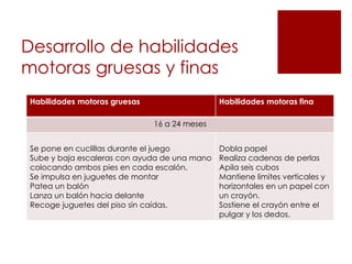 Desarrollo de habilidades
motoras gruesas y finas
 Habilidades motoras gruesas                   Habilidades motoras fina

                               16 a 24 meses


 Se pone en cuclillas durante el juego         Dobla papel
 Sube y baja escaleras con ayuda de una mano   Realiza cadenas de perlas
 colocando ambos pies en cada escalón.         Apila seis cubos
 Se impulsa en juguetes de montar              Mantiene limites verticales y
 Patea un balón                                horizontales en un papel con
 Lanza un balón hacia delante                  un crayón.
 Recoge juguetes del piso sin caídas.          Sostiene el crayón entre el
                                               pulgar y los dedos.
 