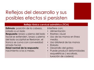 Reflejos del desarrollo y sus
posibles efectos si persisten
                Reflejo tónico cervical asimétrico (TCA)
Estimulo: posición de la cabeza,      Interfiere con:
rotado a un lado                      • Alimentación
Respuesta: brazo y pierna del lado    • Rastreo visual
facial se extienden, brazo y pierna   • Uso de las manos en línea
del lado occipital se flexionan, el      media.
tronco se curva con convexidad        • Uso bilateral de las manos
al lado facial.                       • Rolado
Edad normal de la respuesta:          • Desarrollo del gateo
nacimiento a los 6 meses.             • Puede producir deformidades
                                         esqueléticas ( escoliosis,
                                         luxación de cadera)
 