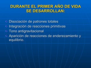 DURANTE EL PRIMER AÑO DE VIDA SE DESARROLLAN: Disociación de patrones totales Integración de reacciones primitivas Tono antigravitacional Aparición de reacciones de enderezamiento y equilibrio. 