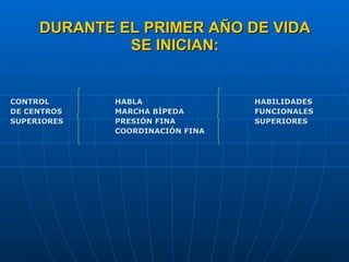 DURANTE EL PRIMER AÑO DE VIDA SE INICIAN: CONTROL  HABLA HABILIDADES DE CENTROS  MARCHA BÍPEDA FUNCIONALES SUPERIORES PRESIÓN FINA SUPERIORES COORDINACIÓN FINA 