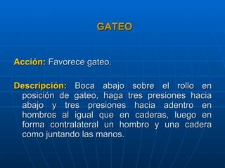 GATEO Acción:  Favorece gateo. Descripción:  Boca abajo sobre el rollo en posición de gateo, haga tres presiones hacia abajo y tres presiones hacia adentro en hombros al igual que en caderas, luego en forma contralateral un hombro y una cadera como juntando las manos. 