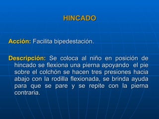 HINCADO Acción:   Facilita bipedestación. Descripción:  Se coloca al niño en posición de hincado se flexiona una pierna apoyando  el pie sobre el colchón se hacen tres presiones hacia abajo con la rodilla flexionada, se brinda ayuda para que se pare y se repite con la pierna contraria. 
