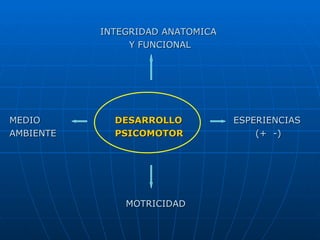 INTEGRIDAD ANATOMICA  Y FUNCIONAL MEDIO   DESARROLLO ESPERIENCIAS AMBIENTE   PSICOMOTOR   (+  -) MOTRICIDAD 