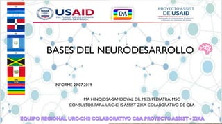 BASES DEL NEURODESARROLLO
INFORME 29.07.2019
MA HINOJOSA-SANDOVAL DR. MED, PEDIATRA, MSC
CONSULTOR PARA URC-CHS ASSIST ZIKA COLABORATIVO DE C&A
 