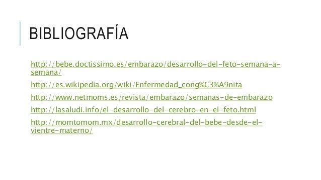Neurodesarrollo Fetal Semana 27 A 30