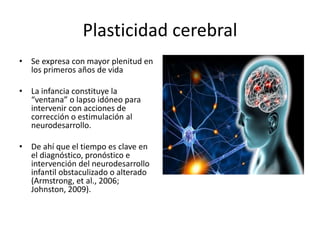 Plasticidad cerebral
• Se expresa con mayor plenitud en
los primeros años de vida
• La infancia constituye la
“ventana” o lapso idóneo para
intervenir con acciones de
corrección o estimulación al
neurodesarrollo.
• De ahí que el tiempo es clave en
el diagnóstico, pronóstico e
intervención del neurodesarrollo
infantil obstaculizado o alterado
(Armstrong, et al., 2006;
Johnston, 2009).
 