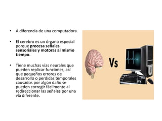 • A diferencia de una computadora.
• El cerebro es un órgano especial
porque procesa señales
sensoriales y motoras al mismo
tiempo.
• Tiene muchas vías neurales que
pueden replicar funciones, así
que pequeños errores de
desarrollo o perdidas temporales
causados por algún daño se
pueden corregir fácilmente al
redireccionar las señales por una
vía diferente.
 