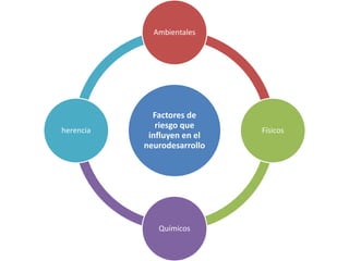 Factores de
riesgo que
influyen en el
neurodesarrollo
Ambientales
Físicos
Químicos
herencia
 