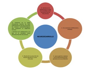NEURODESARROLLO
5.- termina en la
adolescencia a la que
se le considera como
horizonte final de
este proceso
1.- Es un proceso multifactorial y
complejo
2.- que se genera y expresa
en las interacciones de las
personas con sus ambientes.
3.- Resulta de la conjunción de
factores genéticos y socio-
culturales
4.- Comienza en la etapa
intrauterina, durante las fases
embrionarias en las que se forman
los sistemas anatomofisiológicos
que componen el organismo
humano
y termina en la adolescencia a la
que se le considera como
horizonte final de este proceso
 