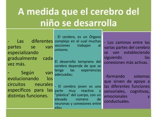 A medida que el cerebro del
niño se desarrolla
- Las diferentes
partes se van
especializando
gradualmente cada
vez más.
- Según van
evolucionando los
circuitos neurales
específicos para las
distintas funciones.
- El cerebro, es un Órgano
complejo en el cual muchas
secciones trabajan al
unísono.
El desarrollo temprano del
cerebro depende de que se
tenga las experiencias
adecuadas;
- El cerebro joven es una
parte muy reactiva y
“plástica” del cuerpo, con un
elevado número de
neuronas y conexiones entre
ellas
- Los caminos entre las
varias partes del cerebro
se van estableciendo
siguiendo las
conexiones más activas.
-formando sistemas
que sirven de apoyo a
las diferentes funciones
sensoriales, cognitivas,
emocionales y
conductuales.
 