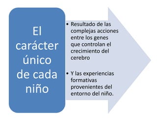• Resultado de las
complejas acciones
entre los genes
que controlan el
crecimiento del
cerebro
• Y las experiencias
formativas
provenientes del
entorno del niño.
El
carácter
único
de cada
niño
 