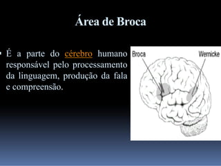 Área de Broca

 É a parte do cérebro humano

responsável pelo processamento
da linguagem, produção da fala
e compreensão.

 