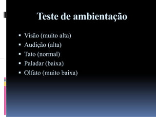 Teste de ambientação
 Visão (muito alta)
 Audição (alta)
 Tato (normal)
 Paladar (baixa)
 Olfato (muito baixa)

 