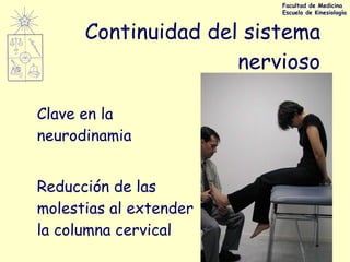 Continuidad del sistema nervioso Clave en la neurodinamia Reducción de las molestias al extender la columna cervical  Facultad de Medicina Escuela de Kinesiología 
