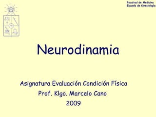 Neurodinamia Asignatura Evaluación Condición Física Prof. Klgo. Marcelo Cano  2009 Facultad de Medicina Escuela de Kinesiología 