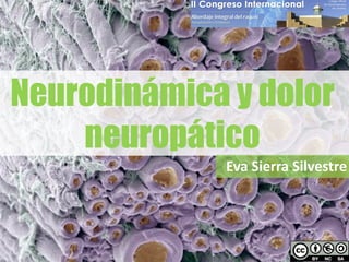 Neurodinámica y dolor
neuropático
Eva Sierra Silvestre
 
