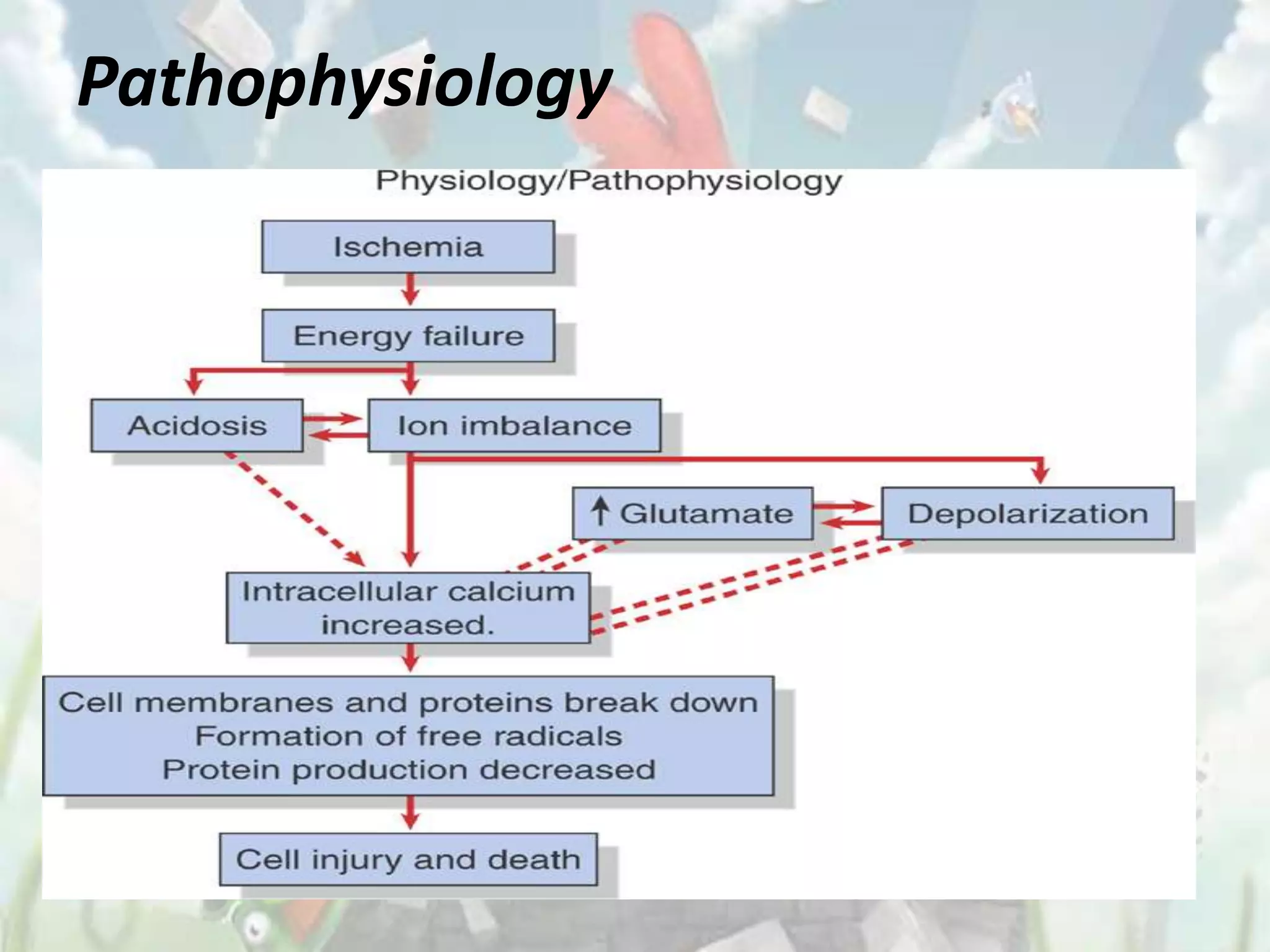 Pathophysiology
 