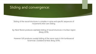 Sliding and convergence:
Sliding of the neural structures is complex in spine and specific sequences of
movements their own sliding.
Eg: Neck flexion produces cephalad sliding of neural structures in lumbar region
(Breig 1978).
However SLR produces caudad sliding of the nerve roots in the lumbosacral
foraminae ( Goddard & Reid; Breig 1978).
 