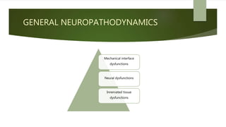 GENERAL NEUROPATHODYNAMICS
Mechanical interface
dysfunctions
Neural dysfunctions
Innervated tissue
dysfunctions
 