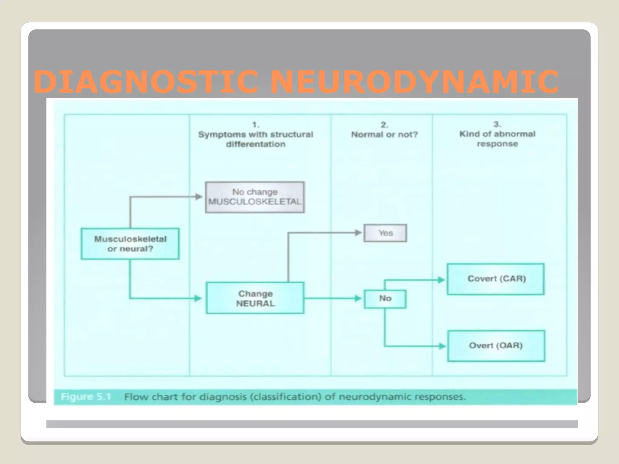 DIAGNOSTIC NEURODYNAMIC
 