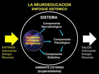 Neurociencia
y Educación
Sub-Sistemas
ENTRADA
Información
Energía
Recursos
SALIDA
Información
Energía
Recursos
Componente
Neurobiológico
Componente
Psicológico
Componente
Didáctico
AMBIENTE EXTERNO
(supersistema)
LA NEUROEDUCACION
ENFOQUE SISTEMICO
SISTEMA
 